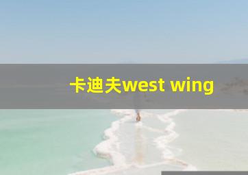 卡迪夫west wing